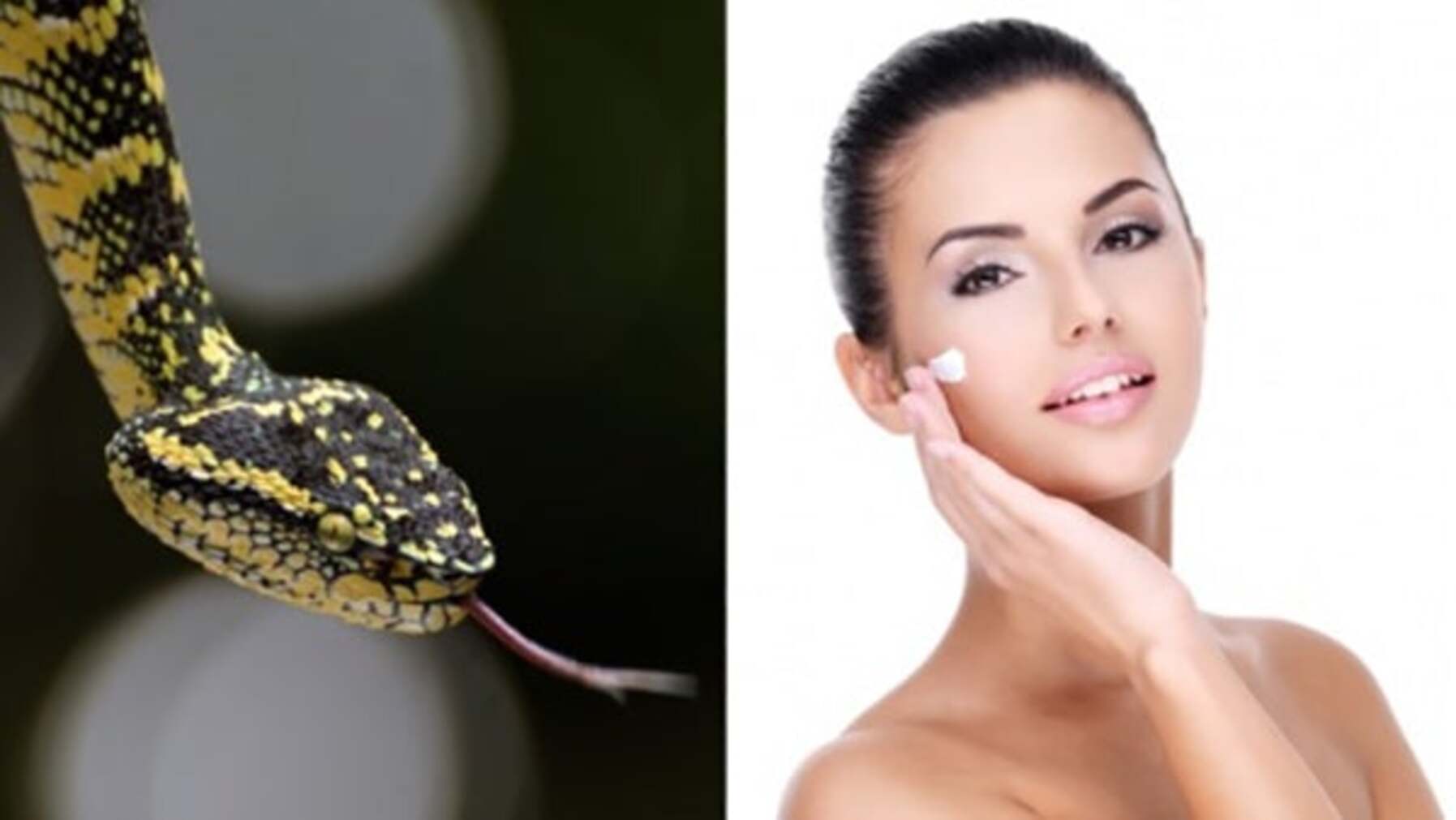 Veleno di vipera cosmesi naturale