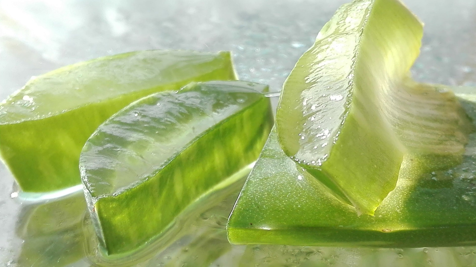 L'Aloe vera: un elisir di bellezza per la tua pelle!
