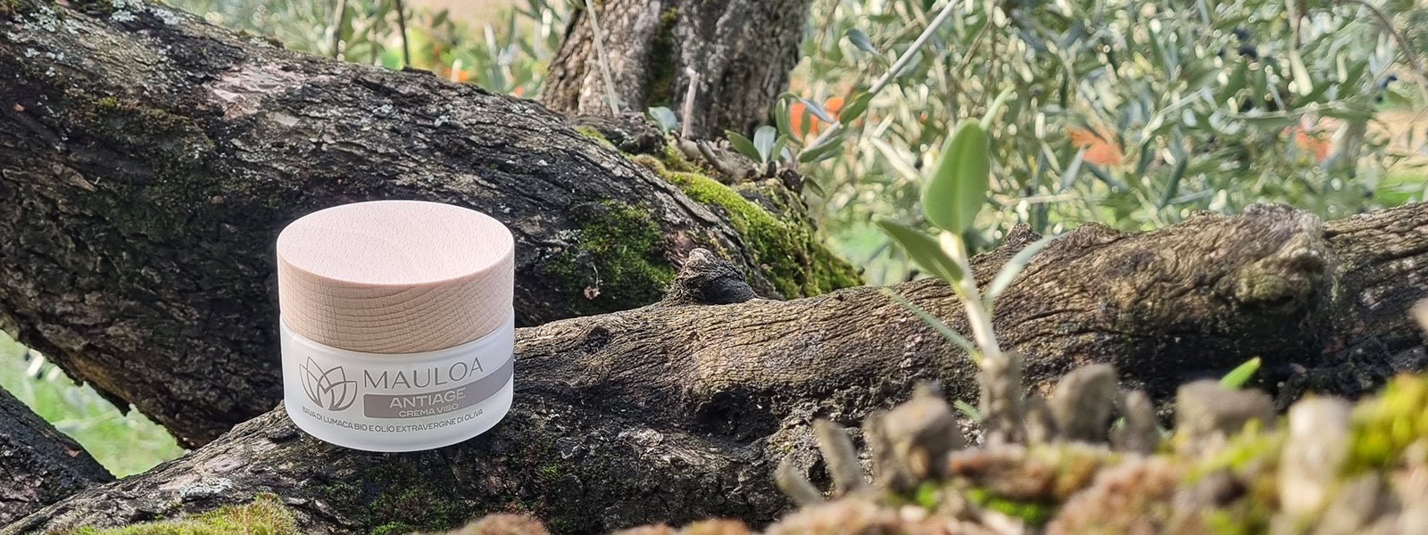 CREMA VISO bava di lumaca bio